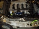 Fiat Brava